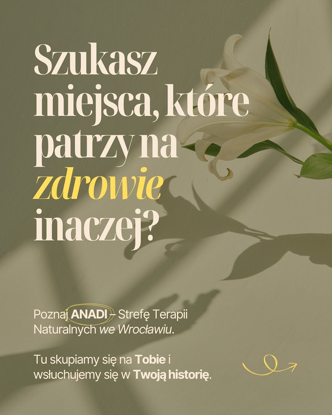 Strefa Terapii Naturalnych ANADI and Max Hemp — Post preview