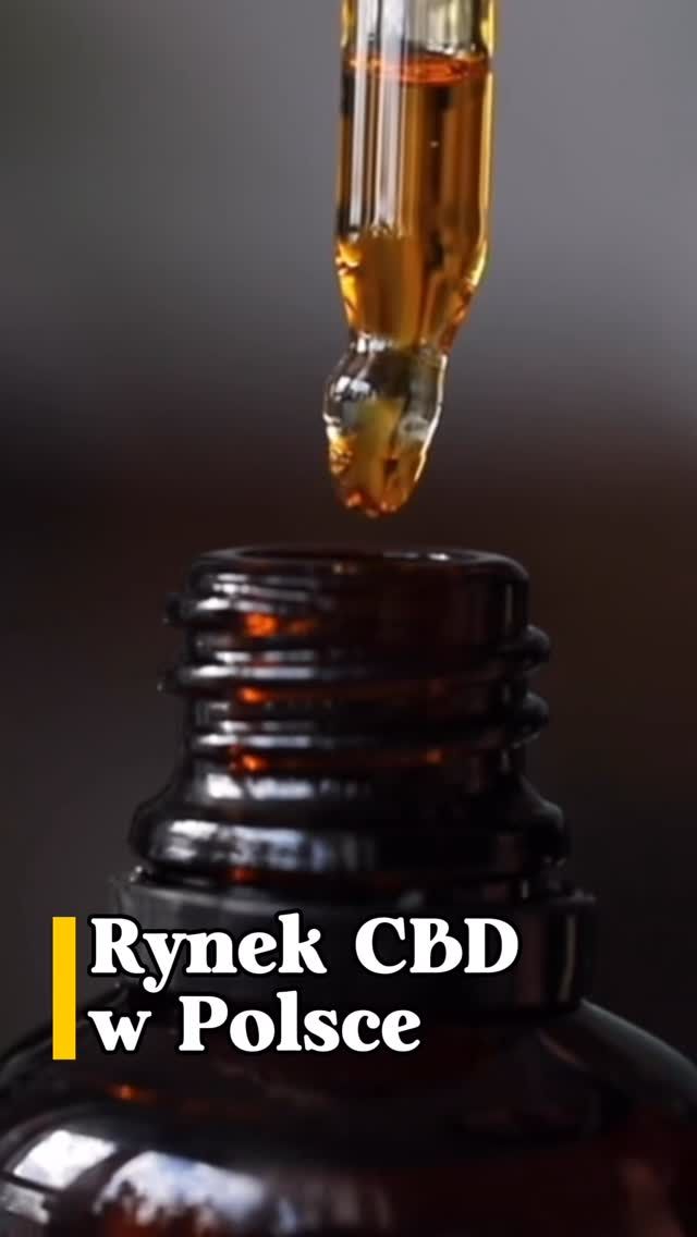 Collaboration with Dorota Gudaniec — Post preview