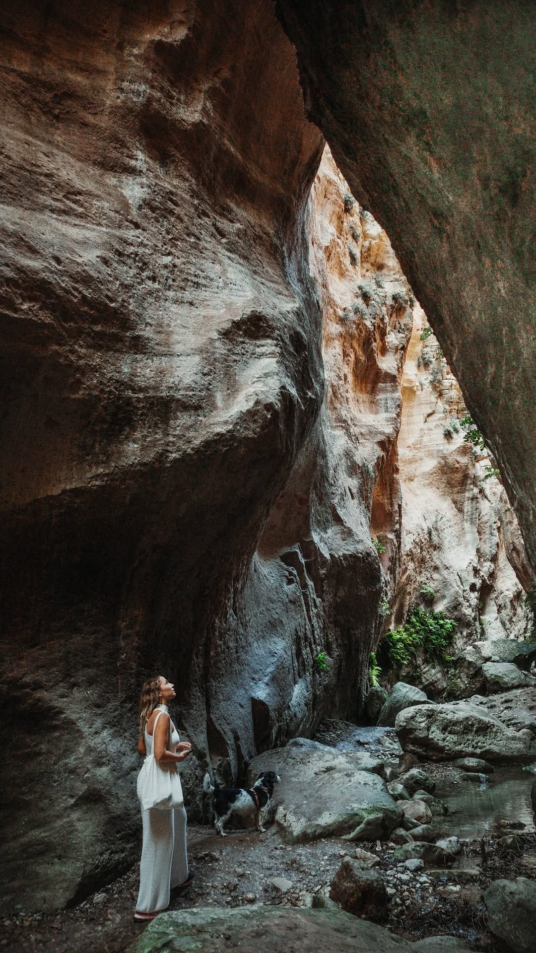 thevanderfulife Instagram preview